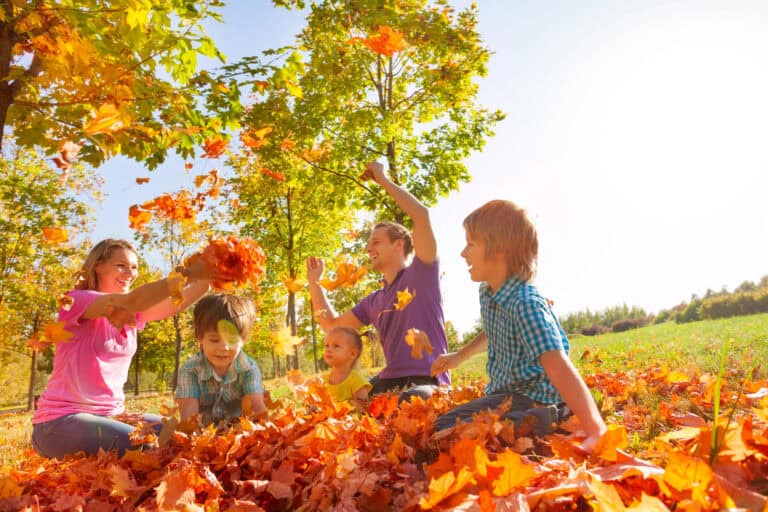 free fall outdoor activities for kids