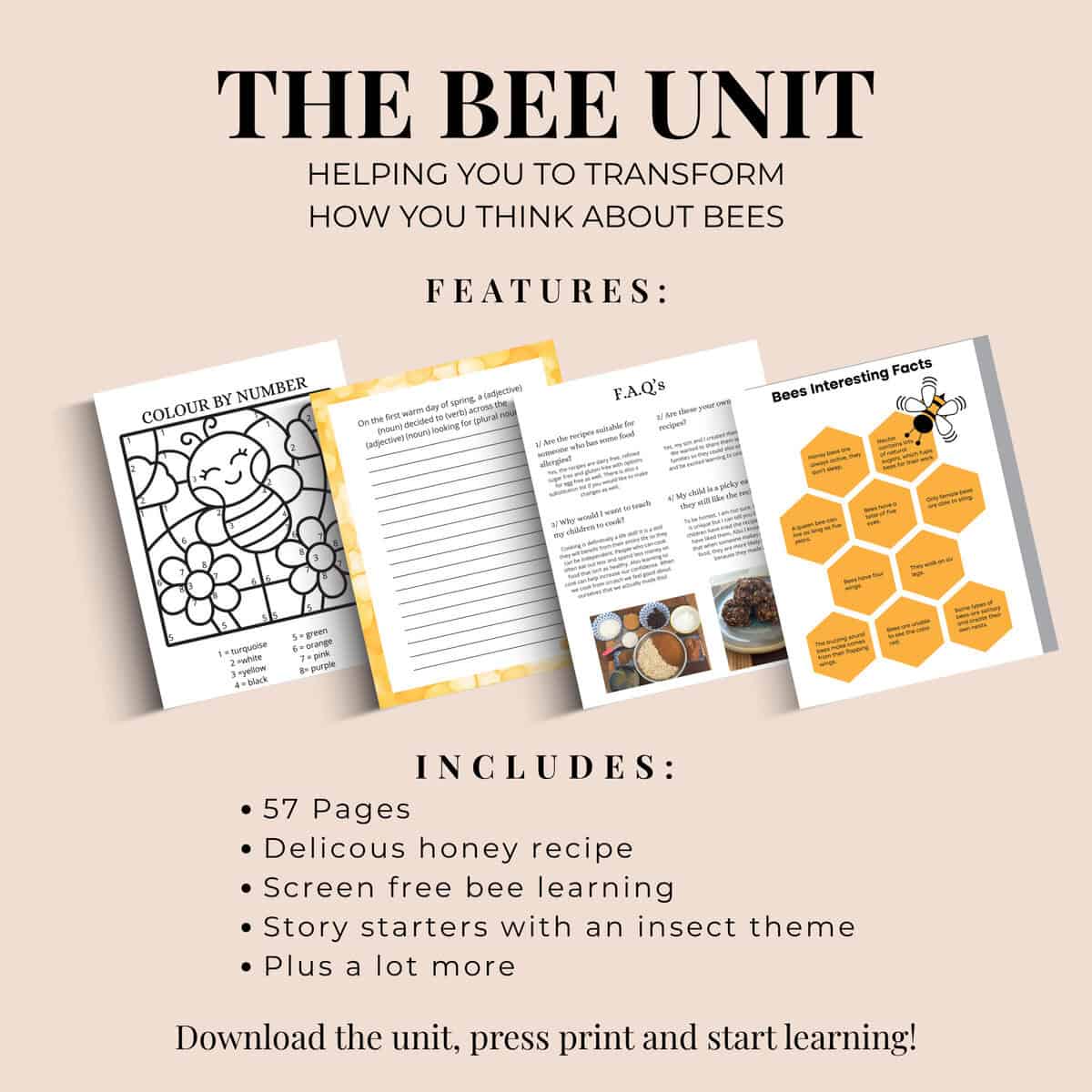 Printable Bee Unit Study for Elementary Kids Ages 8–11 - Image 3