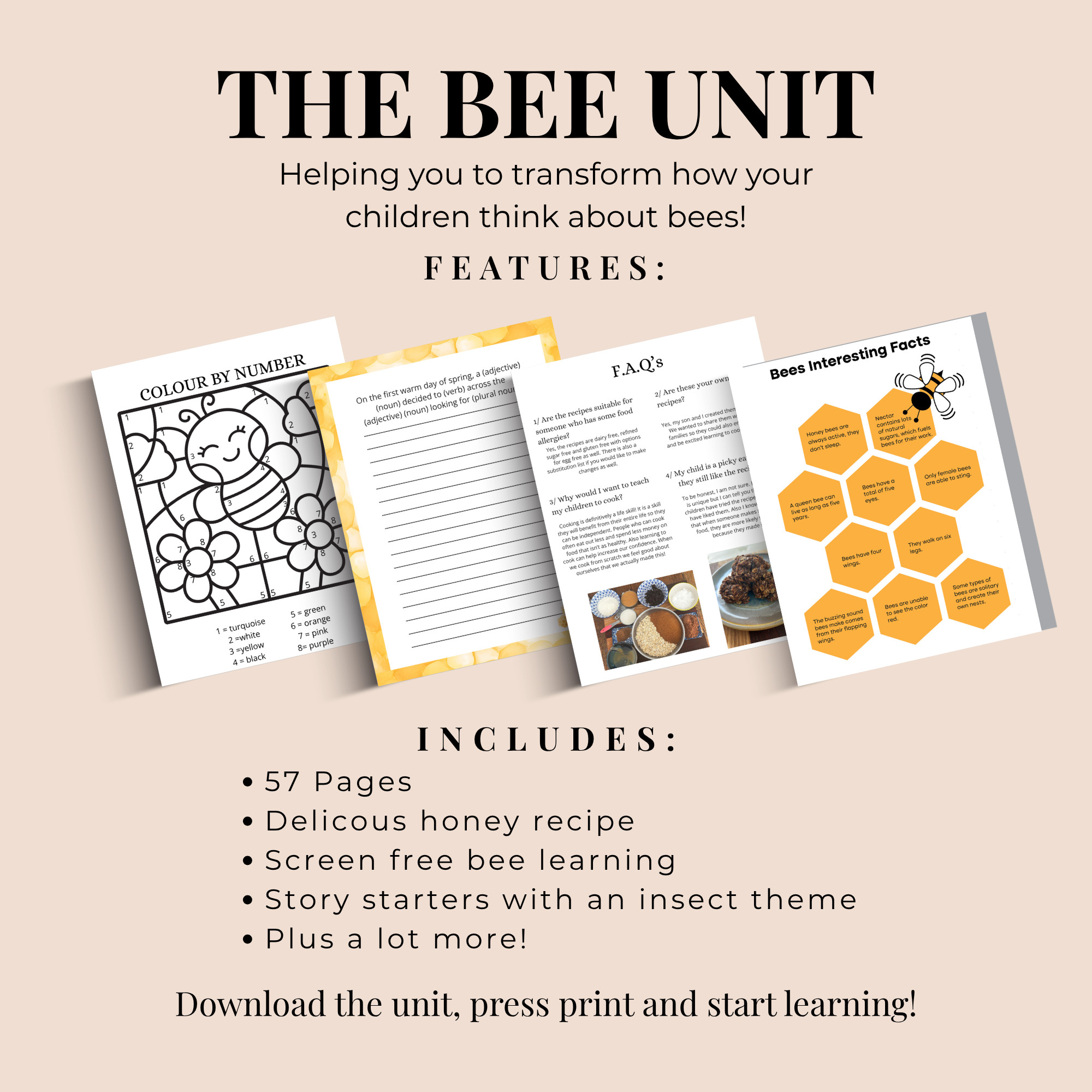 Summer Printable, Bee Unit Study for Elementary Kids Ages 8–11 - Image 3